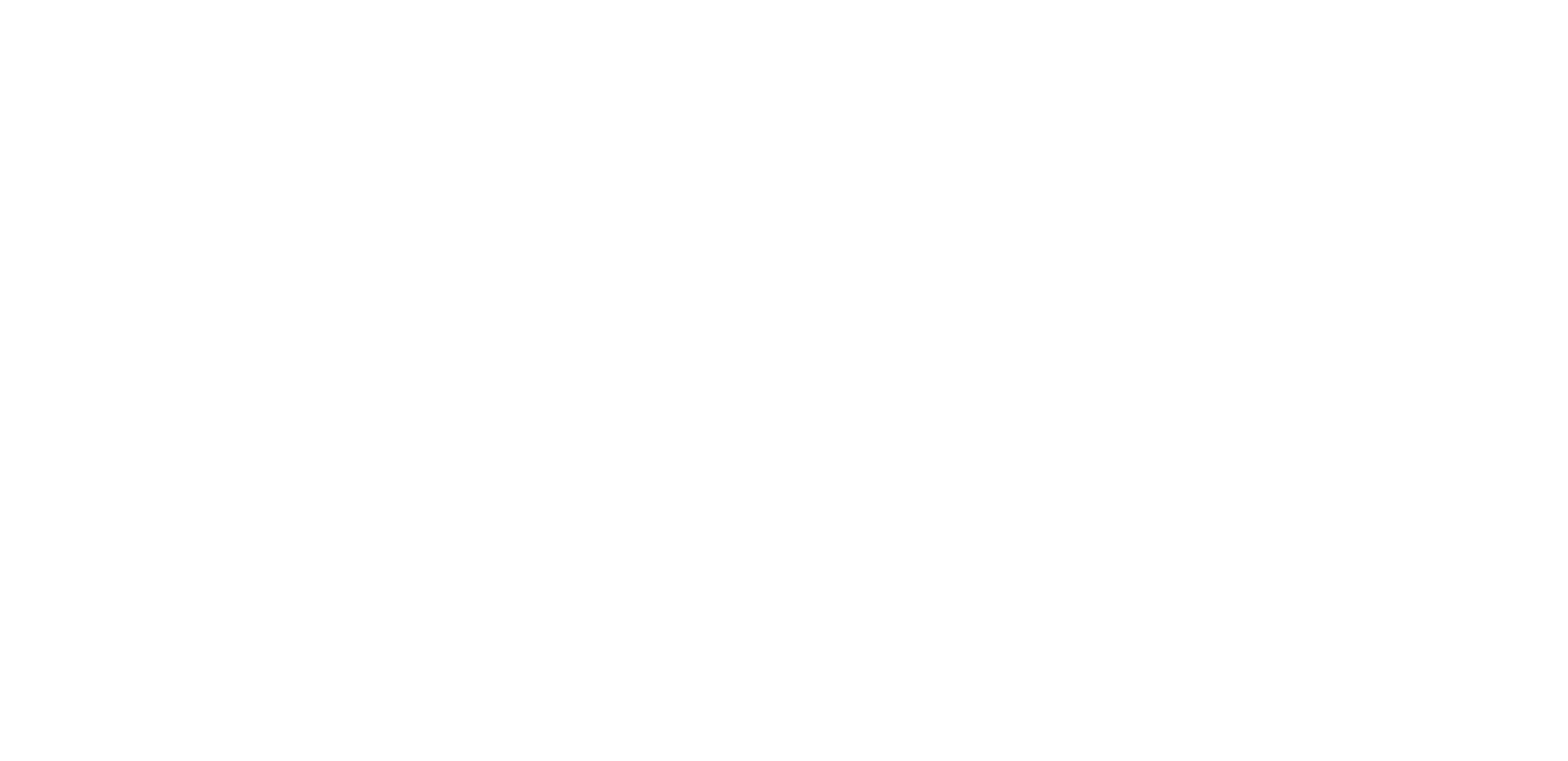 Logo DISI snc di Fagotto Renato e Furlan Rene'